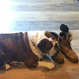 Meet your Posher, Kelly